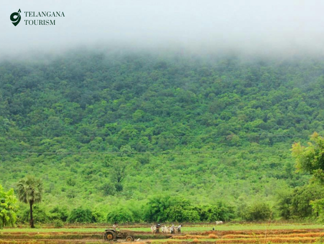 Eturnagaram Wildlife Sanctuary