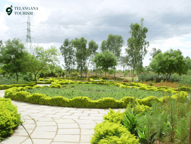 Hyderabad Botanical Garden