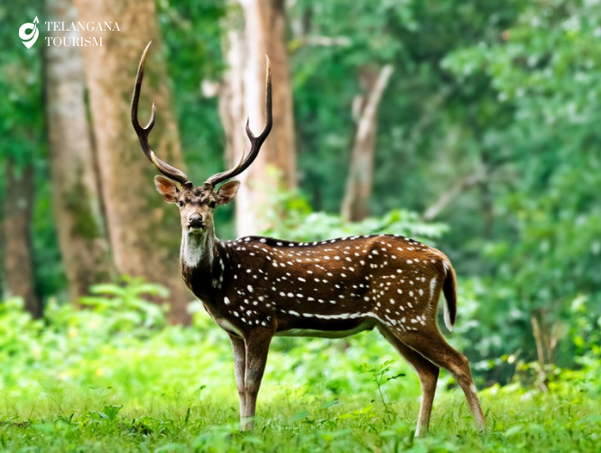 KBR National Park