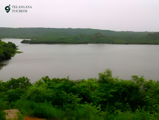 Mallaram forest