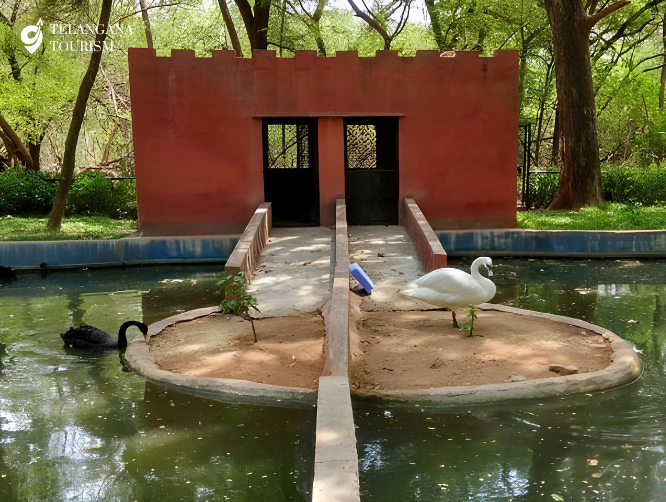 Mini Zoo, Warangal