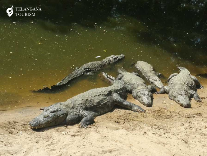 Shivaram Wildlife Sanctuary